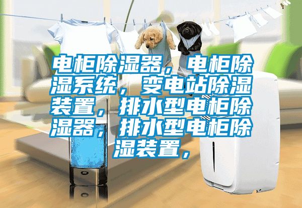 電柜除濕器，電柜除濕系統(tǒng)，變電站除濕裝置，排水型電柜除濕器，排水型電柜除濕裝置，