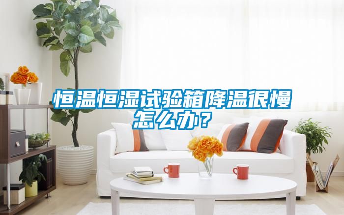 恒溫恒濕試驗(yàn)箱降溫很慢怎么辦？