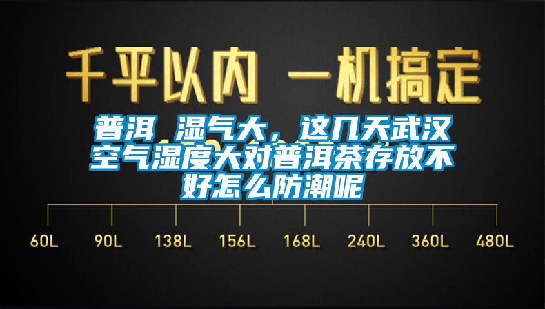 普洱 濕氣大，這幾天武漢空氣濕度大對(duì)普洱茶存放不好怎么防潮呢