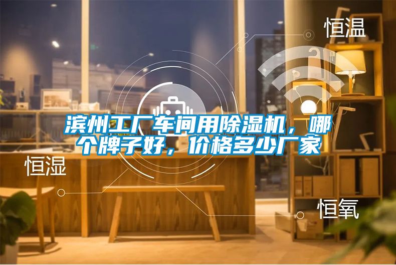 濱州工廠車間用除濕機，哪個牌子好，價格多少廠家