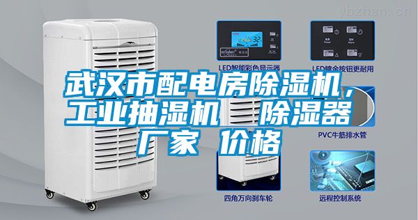 武漢市配電房除濕機，工業(yè)抽濕機  除濕器廠家 價格