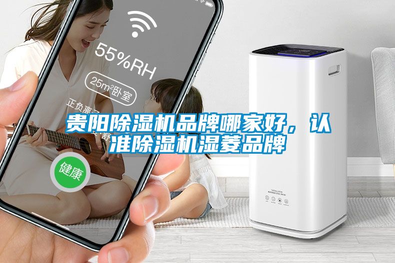 貴陽除濕機品牌哪家好，認(rèn)準(zhǔn)除濕機濕菱品牌