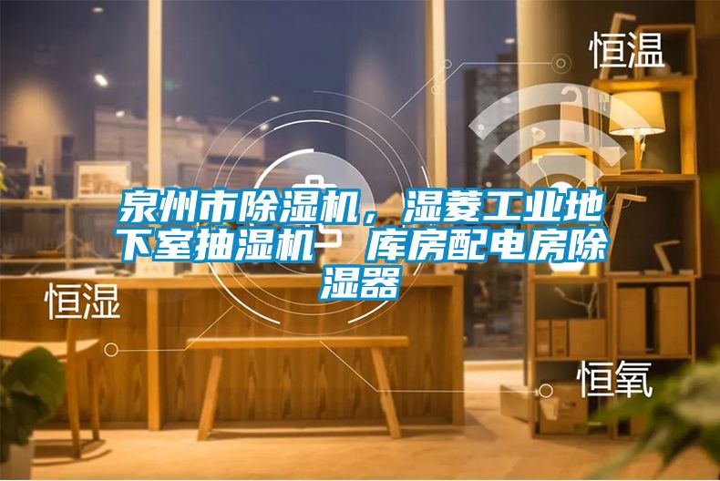 泉州市除濕機，濕菱工業(yè)地下室抽濕機  庫房配電房除濕器