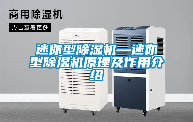 迷你型除濕機—迷你型除濕機原理及作用介紹