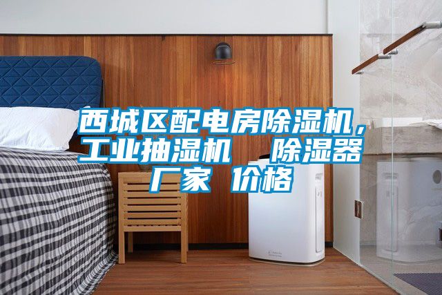 西城區(qū)配電房除濕機，工業(yè)抽濕機  除濕器廠家 價格