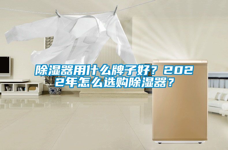 除濕器用什么牌子好？2022年怎么選購除濕器？