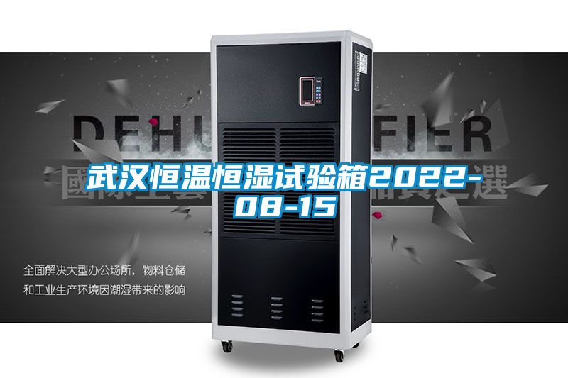 武漢恒溫恒濕試驗(yàn)箱2022-08-15