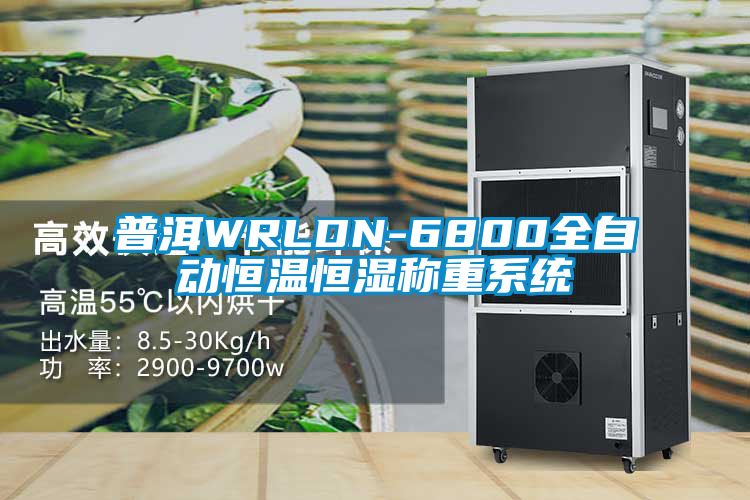 普洱WRLDN-6800全自動恒溫恒濕稱重系統(tǒng)