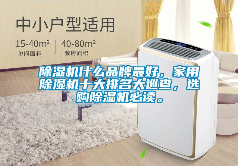 除濕機(jī)什么品牌最好，家用除濕機(jī)十大排名大巡查，選購除濕機(jī)必讀。