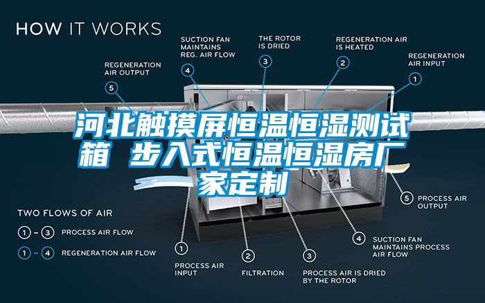 河北觸摸屏恒溫恒濕測(cè)試箱 步入式恒溫恒濕房廠(chǎng)家定制