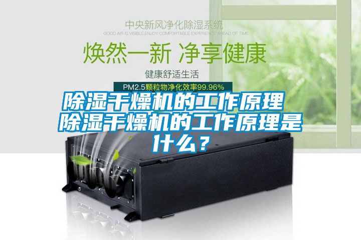 除濕干燥機的工作原理 除濕干燥機的工作原理是什么？