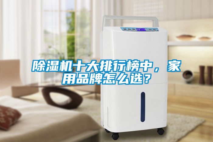 除濕機(jī)十大排行榜中，家用品牌怎么選？