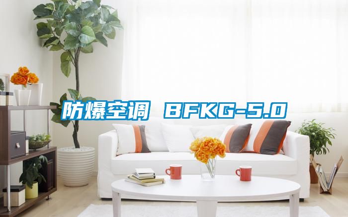 防爆空調(diào) BFKG-5.0