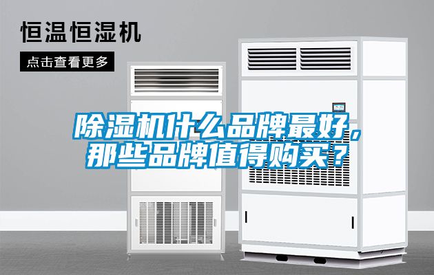 除濕機(jī)什么品牌最好，那些品牌值得購(gòu)買？