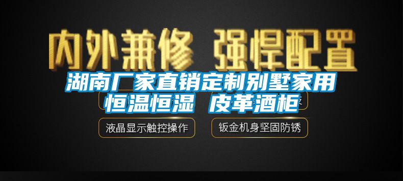 湖南廠家直銷(xiāo)定制別墅家用恒溫恒濕 皮革酒柜