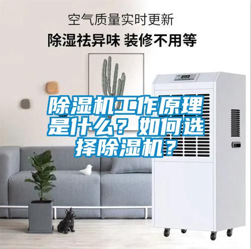 除濕機工作原理是什么？如何選擇除濕機？