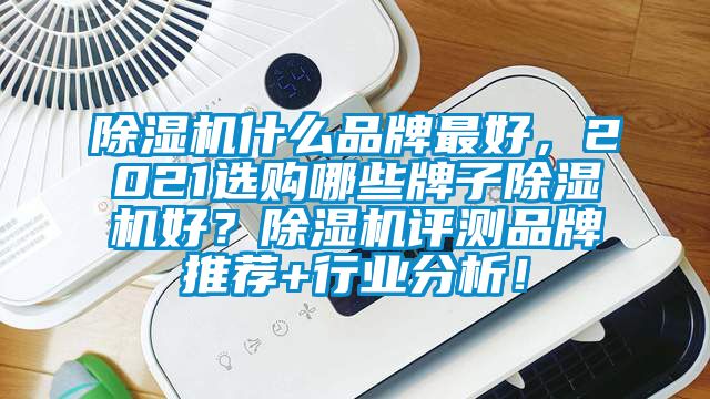 除濕機(jī)什么品牌最好，2021選購哪些牌子除濕機(jī)好？除濕機(jī)評測品牌推薦+行業(yè)分析！