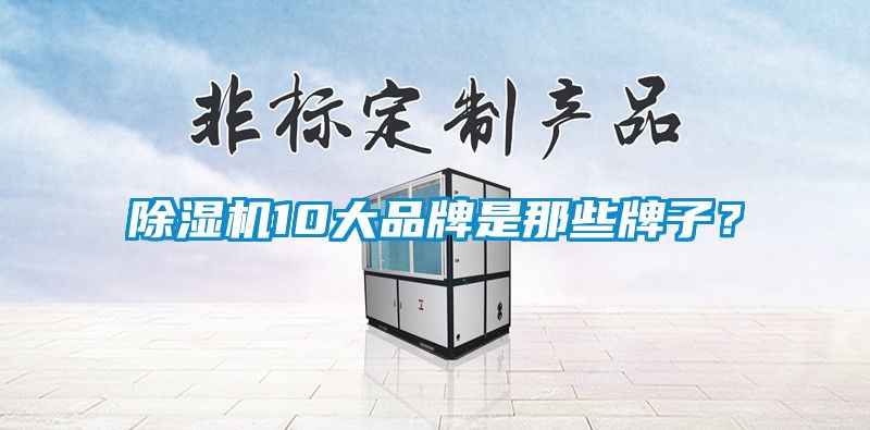 除濕機10大品牌是那些牌子？