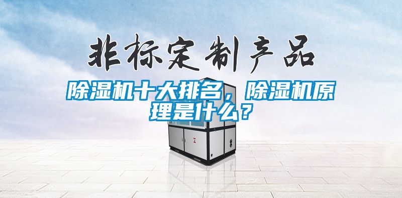 除濕機(jī)十大排名，除濕機(jī)原理是什么？