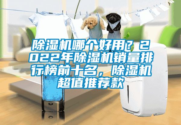 除濕機哪個好用？2022年除濕機銷量排行榜前十名，除濕機超值推薦款