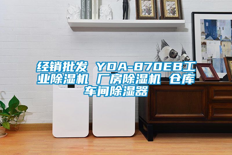 經(jīng)銷批發(fā) YDA-870EB工業(yè)除濕機 廠房除濕機 倉庫車間除濕器