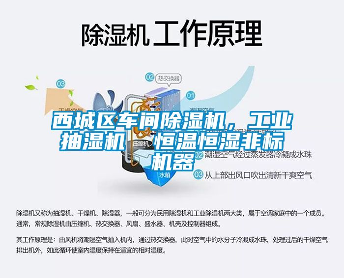 西城區(qū)車間除濕機，工業(yè)抽濕機  恒溫恒濕非標機器