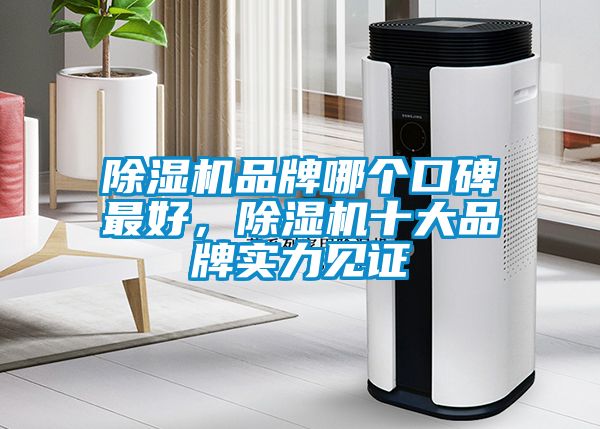 除濕機(jī)品牌哪個口碑最好，除濕機(jī)十大品牌實力見證