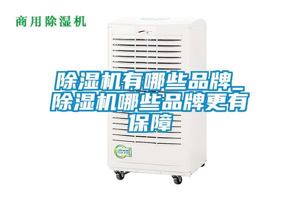 除濕機(jī)有哪些品牌_除濕機(jī)哪些品牌更有保障