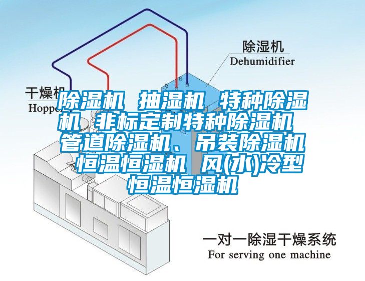 除濕機(jī) 抽濕機(jī) 特種除濕機(jī) 非標(biāo)定制特種除濕機(jī) 管道除濕機(jī)、吊裝除濕機(jī) 恒溫恒濕機(jī) 風(fēng)(水)冷型恒溫恒濕機(jī)