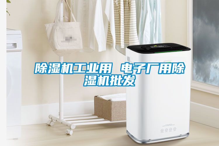 除濕機(jī)工業(yè)用 電子廠用除濕機(jī)批發(fā)