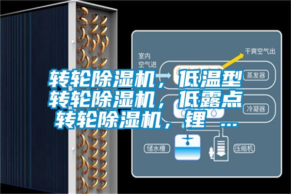 轉(zhuǎn)輪除濕機(jī)，低溫型轉(zhuǎn)輪除濕機(jī)，低露點(diǎn)轉(zhuǎn)輪除濕機(jī)，鋰 ...