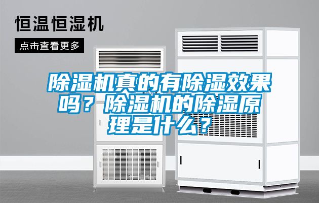 除濕機真的有除濕效果嗎？除濕機的除濕原理是什么？