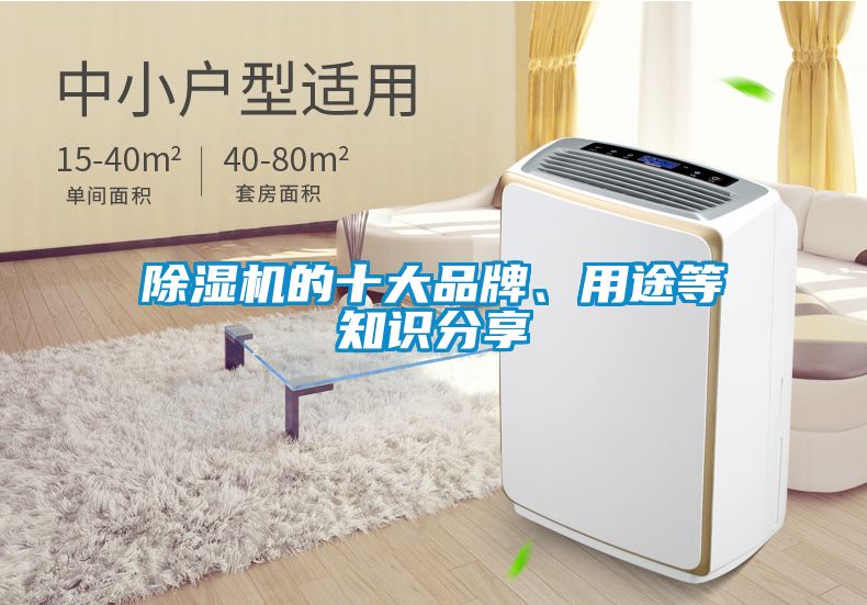 除濕機的十大品牌、用途等知識分享