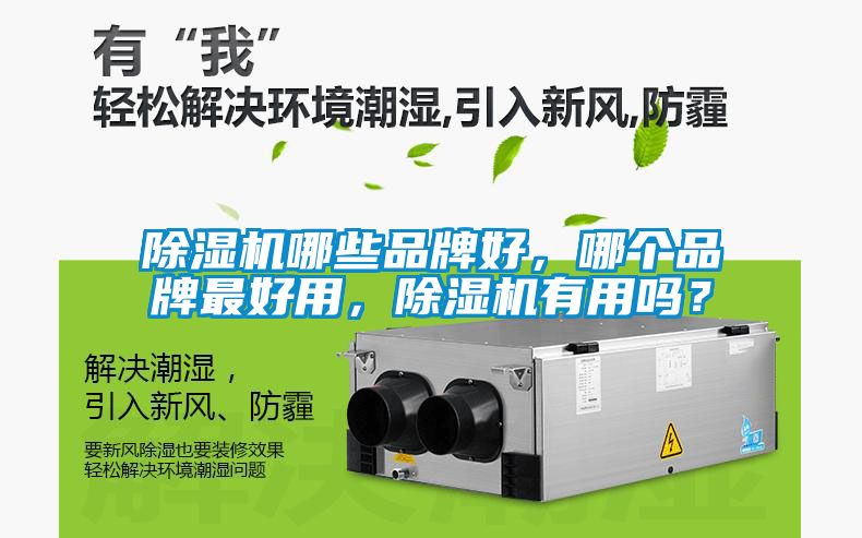 除濕機哪些品牌好，哪個品牌最好用，除濕機有用嗎？