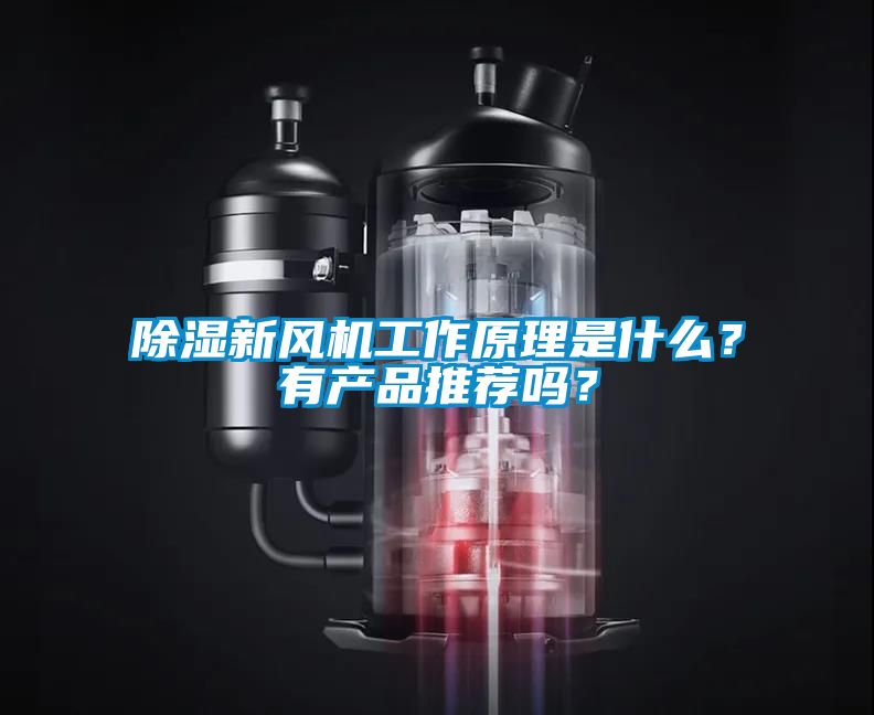 除濕新風機工作原理是什么？有產(chǎn)品推薦嗎？