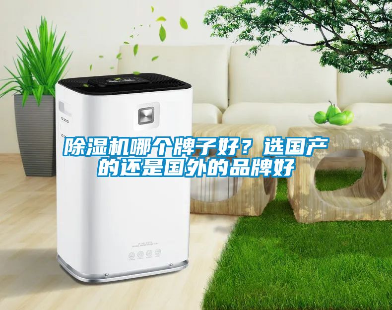 除濕機(jī)哪個(gè)牌子好？選國(guó)產(chǎn)的還是國(guó)外的品牌好