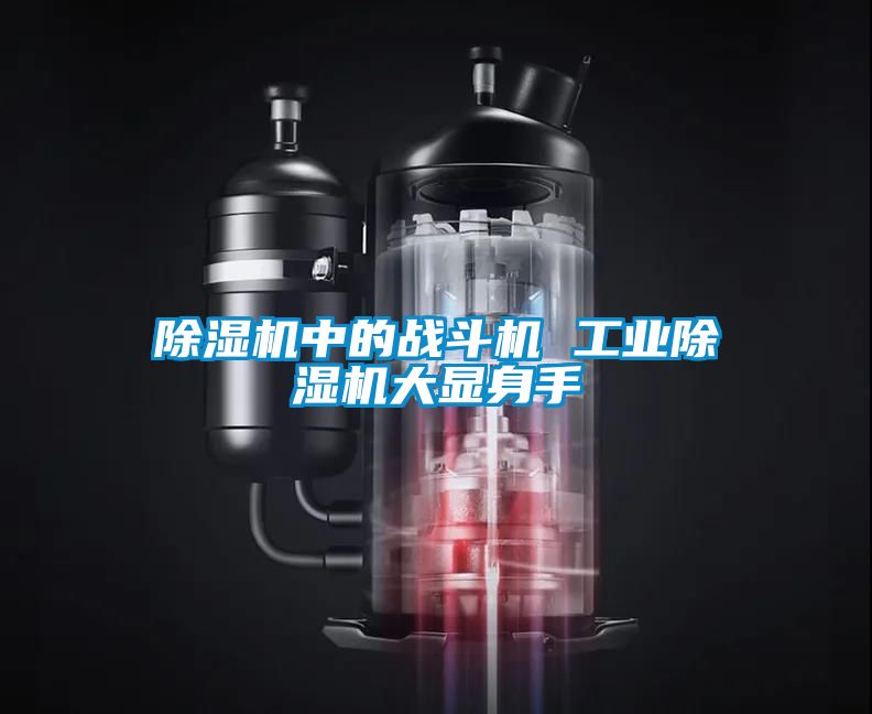 除濕機中的戰(zhàn)斗機 工業(yè)除濕機大顯身手