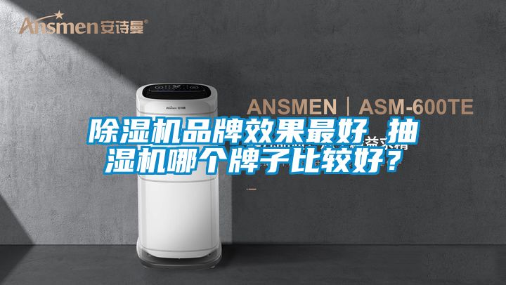 除濕機品牌效果最好 抽濕機哪個牌子比較好？