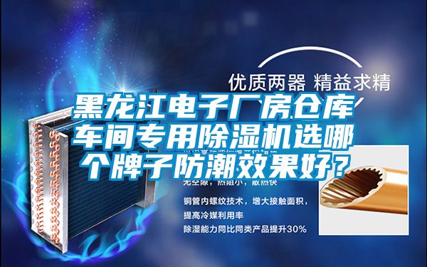 黑龍江電子廠房倉庫車間專用除濕機選哪個牌子防潮效果好？