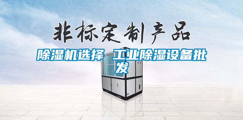 除濕機選擇 工業(yè)除濕設(shè)備批發(fā)