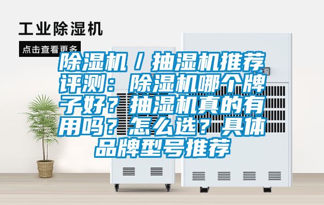 除濕機／抽濕機推薦評測：除濕機哪個牌子好？抽濕機真的有用嗎？怎么選？具體品牌型號推薦